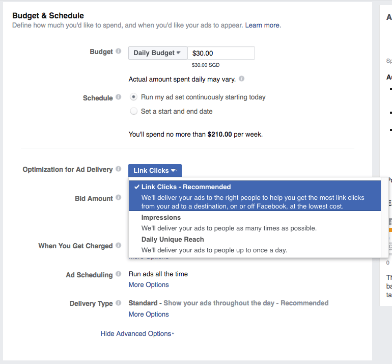 Image of the Facebook Ad Budget & Scheduler Tool